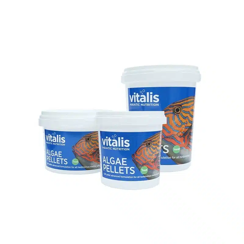 algae-pellets-1.webp