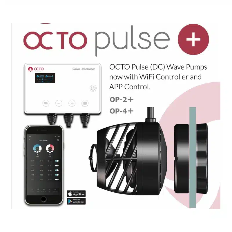 octo-pulse-2.jpg