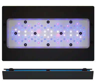Radion® XR30 G6 BLUE
